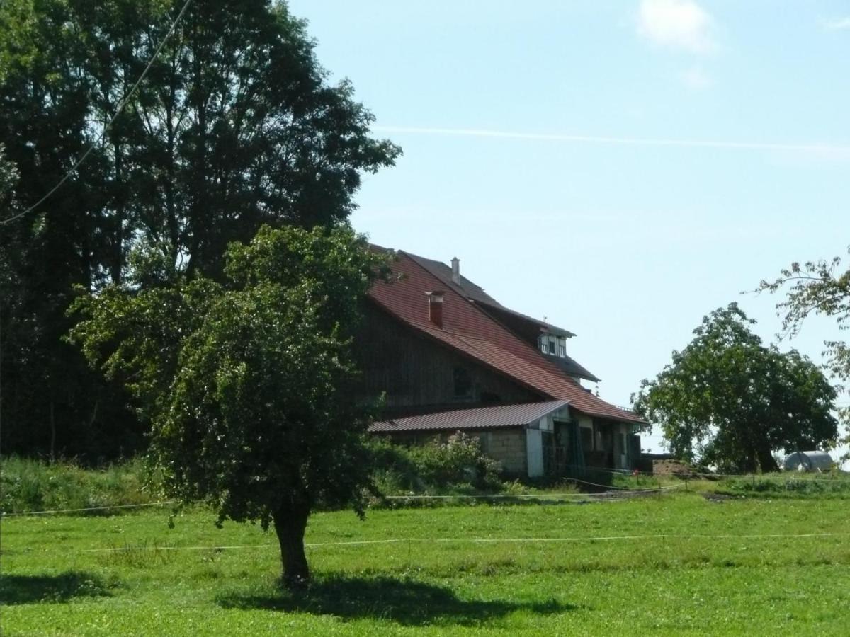 Heuboden Apartment *