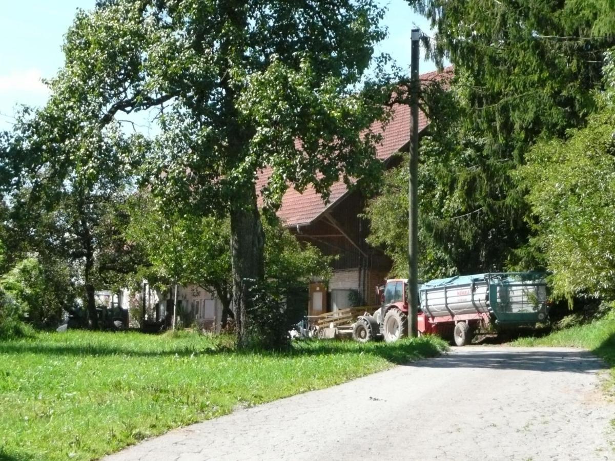 Apartment Heuboden Amtzell